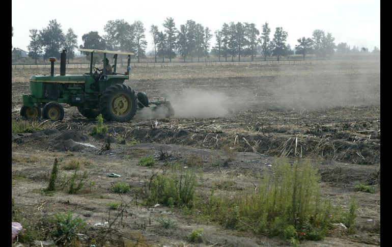 La Ciudad Agropecuaria comprende varios proyectos que buscan sustentabilidad económica. ARCHIVO  /