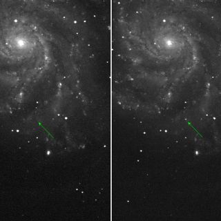 Supernova cercana a la Tierra podrá ser vista con prismáticos