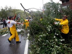 Hombres remueven un árbol caído en Virginia, estado que sufrió los efectos de 'Irene'. REUTERS  /