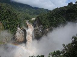 El Yasuní es Patrimonio Natural de la Humanidad. AP  /