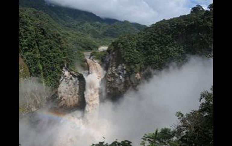 El Yasuní es Patrimonio Natural de la Humanidad. AP  /