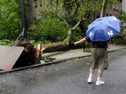 Una persona señala un arbol caído por acción de 'Irene' en la calle 43. EFE  /