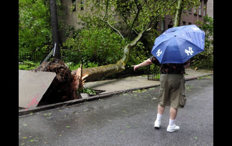 Una persona señala un arbol caído por acción de 'Irene' en la calle 43. EFE  /