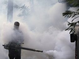 La SSJ reforzará las estrategias en contra del virus del dengue. ARCHIVO.  /