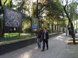 La muestra se inauguró hace poco más de dos meses en las Rejas de Chapultepec II. ESPECIAL  /