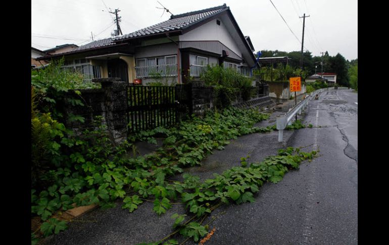 Hierba y grietas crecen en la localidad abandonada de Tomioka, cercana a Fukushima, Japón. AP  /