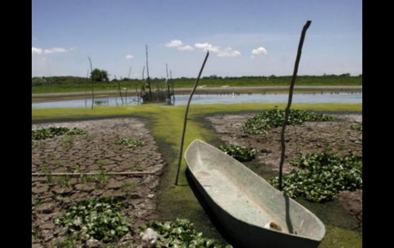 La escasa presencia de lluvias ha provocado que varias lagunas comiencen a secarse. EFE  /