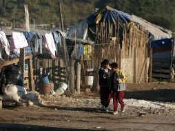 La secretaría de Tlajomulco aclaró que las denuncias las deben hacer los dueños de los predios. ARCHIVO  /