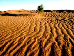 Paisaje rojizo en el desierto de Ejina Qi en el norte de China. EFE  /