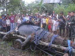 El cocodrilo fue bautizado como Lolong. EFE  /