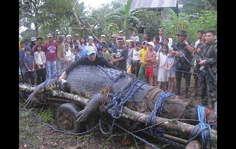 El cocodrilo fue bautizado como Lolong. EFE  /