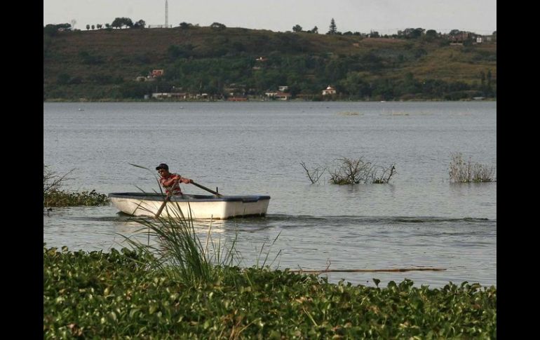 Más de 100 mil personas residentes de la ribera de Cajititlán descargaban sus desechos en esa laguna. ARCHIVO  /