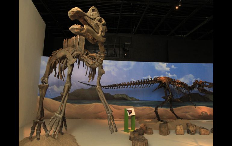 El Museo de Paleontología de Guadalajara invita a la exposición Saurios Terribles. M. FREYRÍA  /