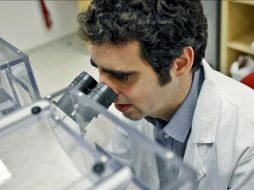 Según Esteller, experto en la investigación contra el cáncer, uno de cada diez enfermos de cáncer es por herencia genética. EFE  /