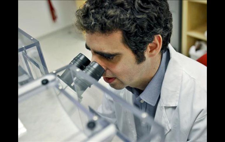 Según Esteller, experto en la investigación contra el cáncer, uno de cada diez enfermos de cáncer es por herencia genética. EFE  /