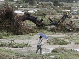 El tifón tocó tierra japonesa y remontó la isla principal Honshu hacia el Norte con lluvias intensas. REUTERS  /