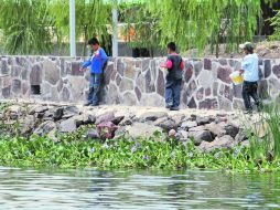 Niños pescan a la orilla del lago, que se encuentra a 64.86% de su capacidad total. EL INFORMADOR  /