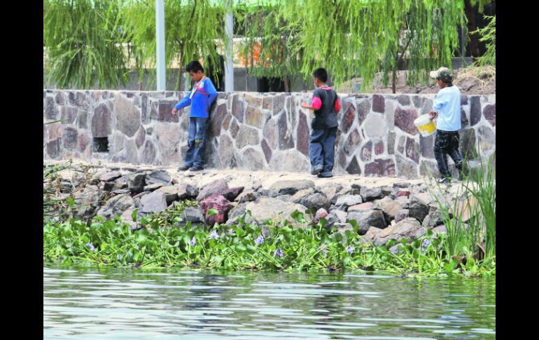 Niños pescan a la orilla del lago, que se encuentra a 64.86% de su capacidad total. EL INFORMADOR  /