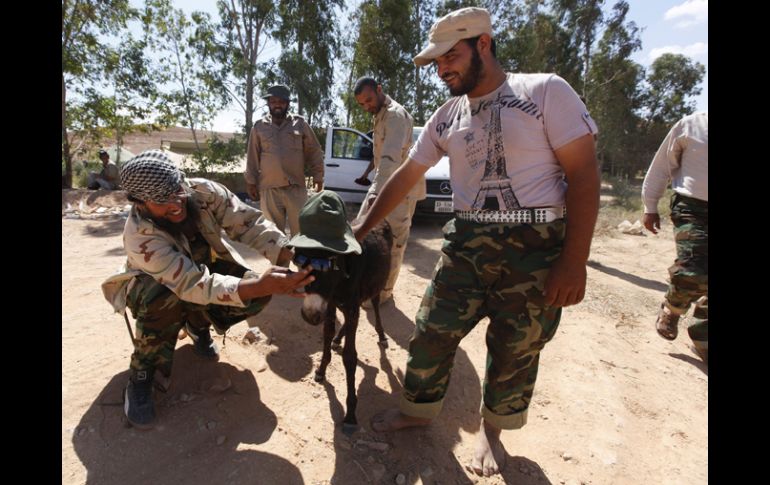 La tribu de Gadhafi constituye la mayoría de la población de Sirte. REUTERS  /