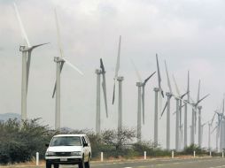 La energía eólica se obtiene a través de los vientos, generada por efecto de las corrientes de aire. ARCHIVO  /