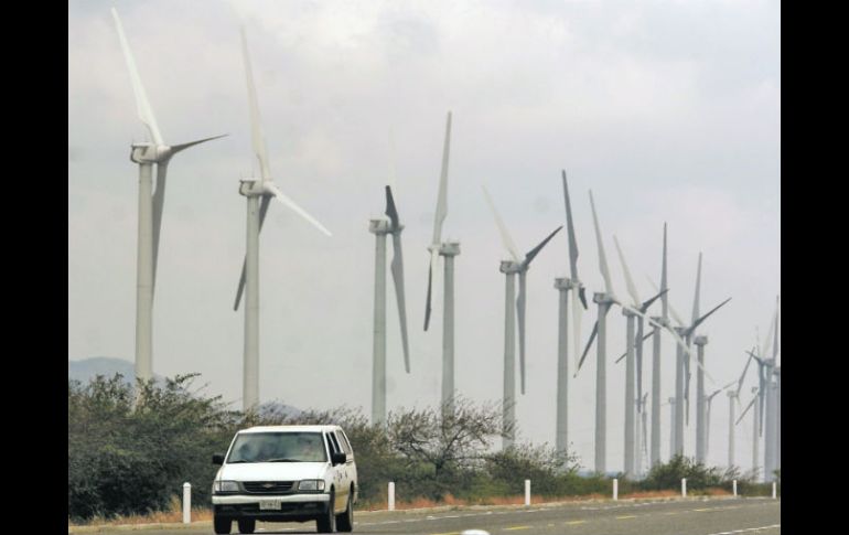 La energía eólica se obtiene a través de los vientos, generada por efecto de las corrientes de aire. ARCHIVO  /