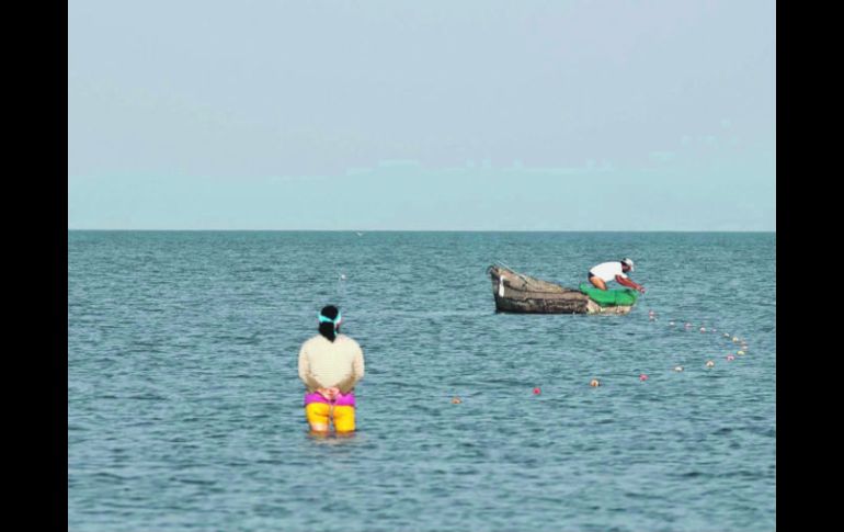 Mientras en 2010 el lago registró 83% de su capacidad, a cinco días de cumplirse un año está a 64.45 por ciento.  /