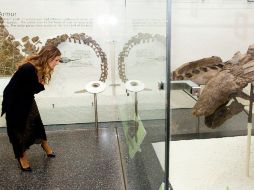 Sarah Jessica Parker en el Museo de Historia Natural en Nueva York. AP  /