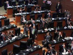 Diputados coincidieron en que el genoma humano es del individuo y para el estudio se debe contar con su consentimiento. EL UNIVERSAL  /