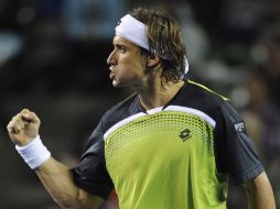 David Ferrer también accede a las semifinales tras ganar al checo Radek Stepanek. EFE  /