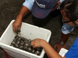 El Ejército de Nicaragua, que resguarda los Refugios de Vida Silvestre. ARCHIVO  /