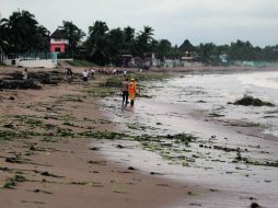 Vecinos recorren las playas de Melaque, que lucen sucias por la presencia de restos de árboles y ramas.  /