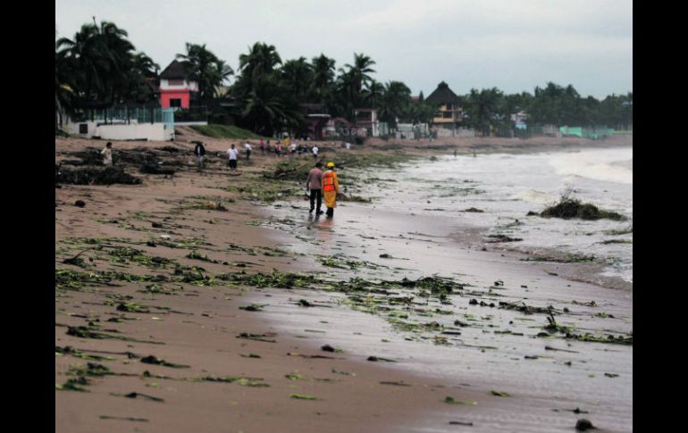 Vecinos recorren las playas de Melaque, que lucen sucias por la presencia de restos de árboles y ramas.  /