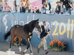 Los competidores mexicanos, con todo para alcanzar la presea de oro.  /