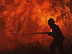 Gracias a la intervención de los bomberos, el fuego no alcanzó zonas pobladas. EFE  /