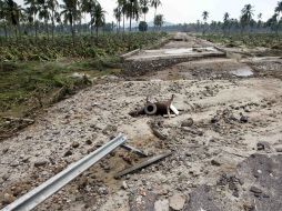 Trece municipios de Jalisco fueron declarados en emergencia tras los daños ocasionados por el huracán. NTX  /