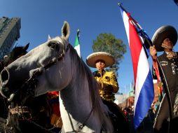 Una alegre apertura con elegantes caballos e imágenes multicolor.  /