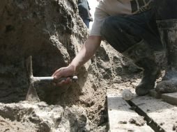 El ejemplar se encontraba en yacimiento de fósiles en localidad de Griesbeckerzell. ARCHIVO  /