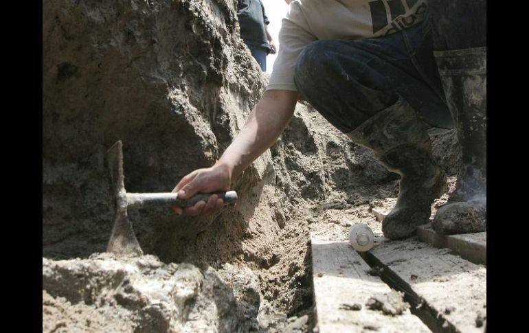 El ejemplar se encontraba en yacimiento de fósiles en localidad de Griesbeckerzell. ARCHIVO  /