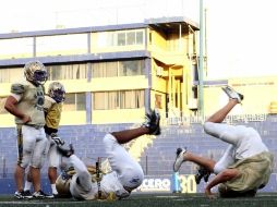 Autenticos Tigres durante una sesión de entretamiento.MEXSPORT  /