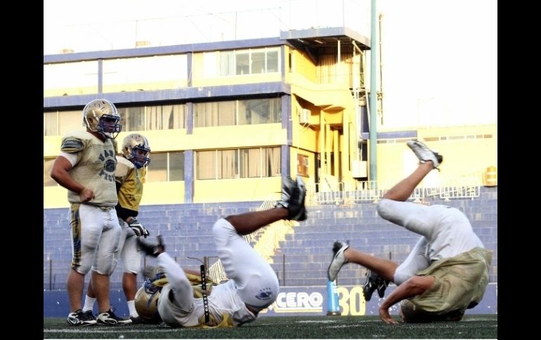 Autenticos Tigres durante una sesión de entretamiento.MEXSPORT  /