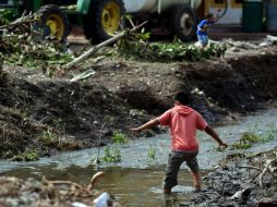 Gran parte del territorio de municipios costeros quedó con fuertes daños luego del paso del huracán.  /