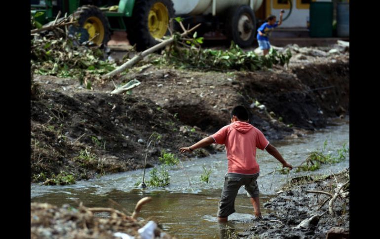 Gran parte del territorio de municipios costeros quedó con fuertes daños luego del paso del huracán.  /