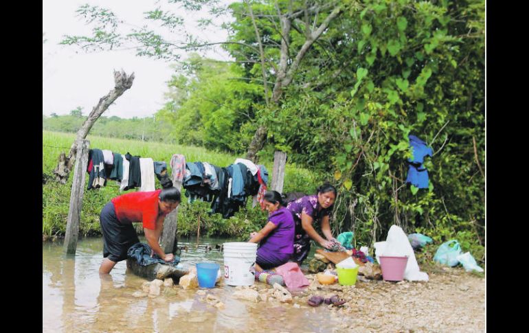 Las personas que se asientan en los alrededores de bosques y selvas hacen uso indebido de los recursos. EL UNIVERSAL  /