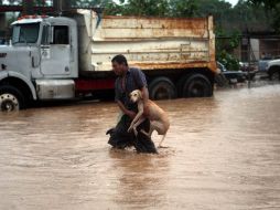 Se prevé que estos recursos sirvan para hacer frente al 80% de los daños que dejó el huracán. ARCHIVO  /