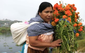 Petalos, aromas y colores distintivos del Dia de Muertos | El Informador