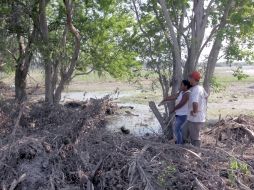 De acuerdo con el alcalde de Cihuatlán, Roberto Gallardo Ruiz, en su municipio, hay alrededor dos mil 400 hectáreas dañadas.  /