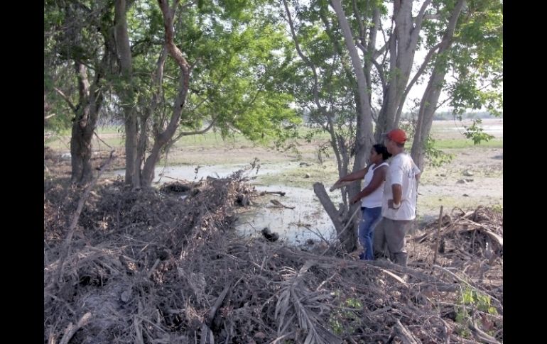 De acuerdo con el alcalde de Cihuatlán, Roberto Gallardo Ruiz, en su municipio, hay alrededor dos mil 400 hectáreas dañadas.  /