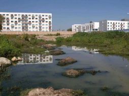 Las fosas que contiene las aguas negras se encuentran a un lado del bosque de la primavera.  /