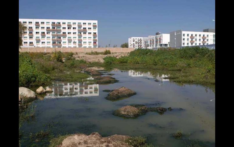 Las fosas que contiene las aguas negras se encuentran a un lado del bosque de la primavera.  /