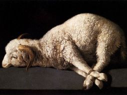 En 1598 nace el pintor español Francisco de Zurbarán. Su estilo penumbrista es sublime; Foto: su cuadro Agnus Dei. ESPECIAL  /